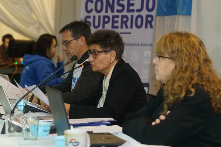 CONSEJO-SUPERIOR-UNPA-11062026-ROXANA-PUEBLA-EUGENIA-DE-SAN-PEDRO-728x485
