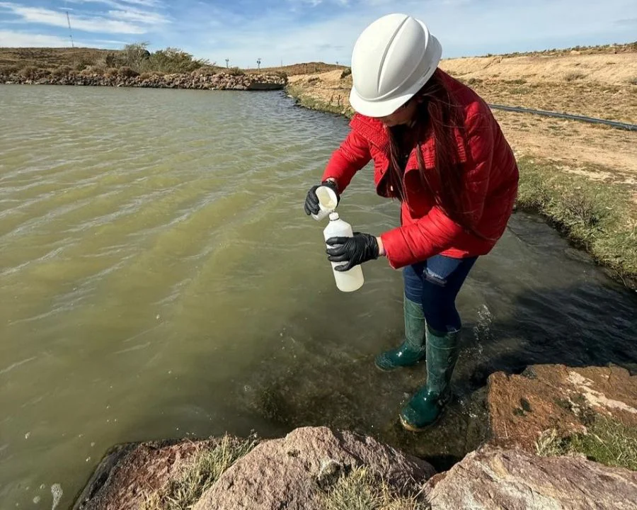 f73238318db18aaa5ede0543a794deb9_XL