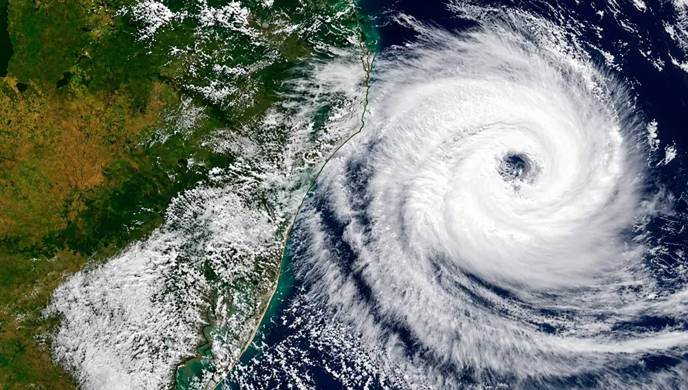 El niño