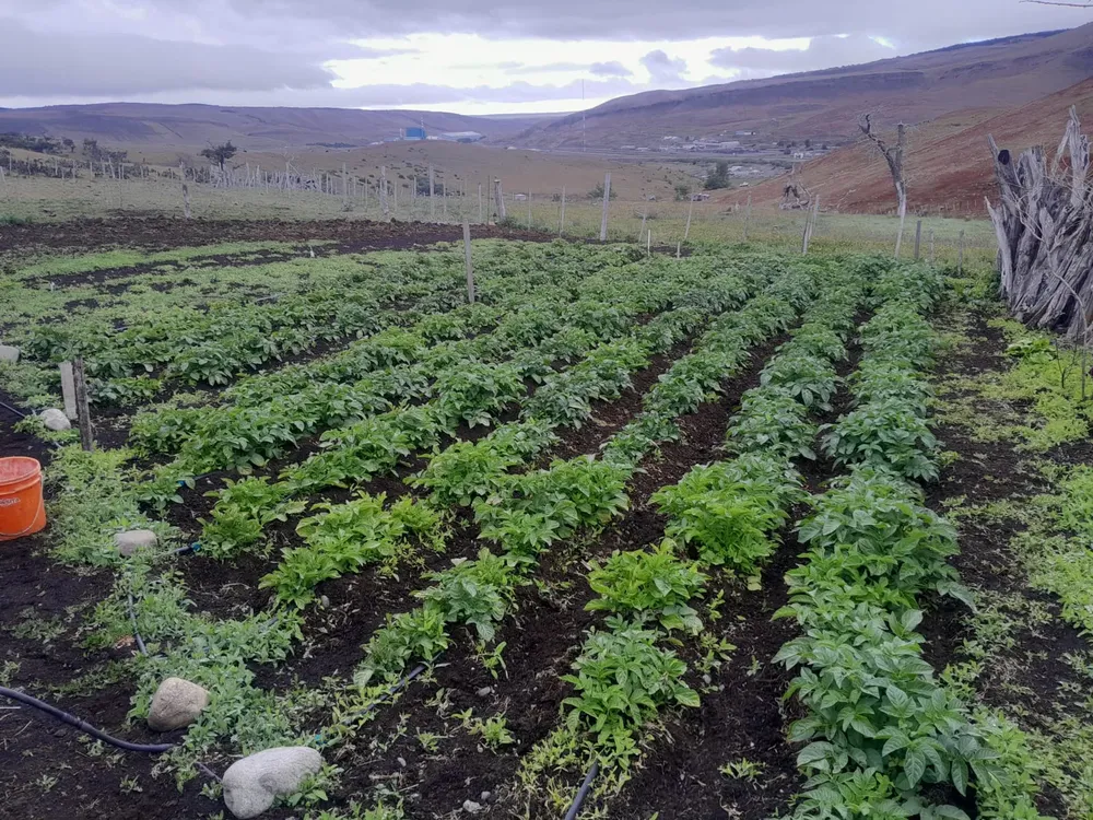 670500926_1391034383066557_6086705396424142389_n