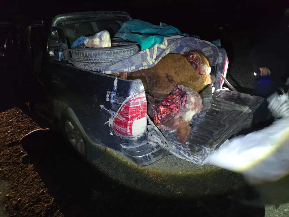 68a473f1-a2fb-4d3b-abc2-de587934962f