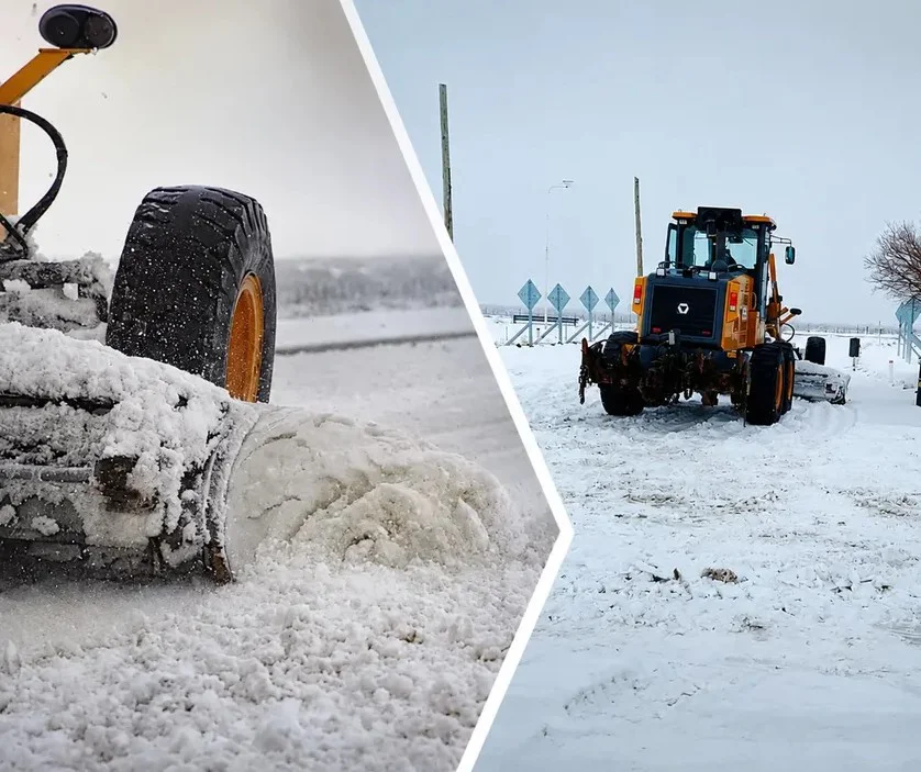 dos