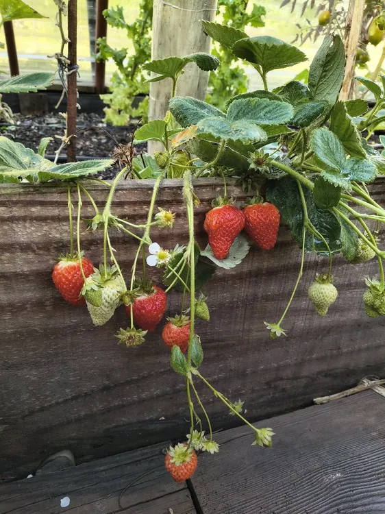 667407154_1389302039906458_1219710547846572866_n