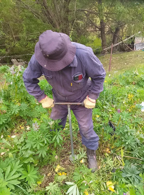 653465534_1372293101607352_2037823303061960050_n